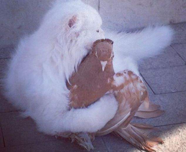 Обед греет.....