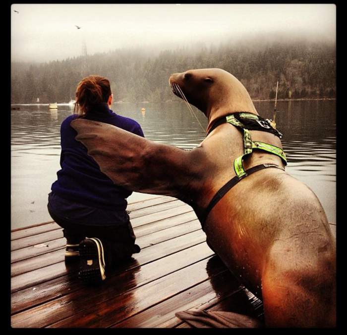 Не плачь...он вернется....