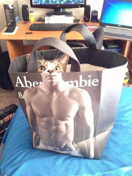 Кэтмэн....)))