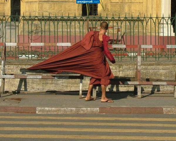Повезло еще, что на сук не напоролся.