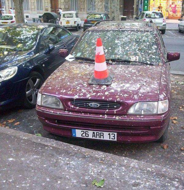Видимо к деньгам!!