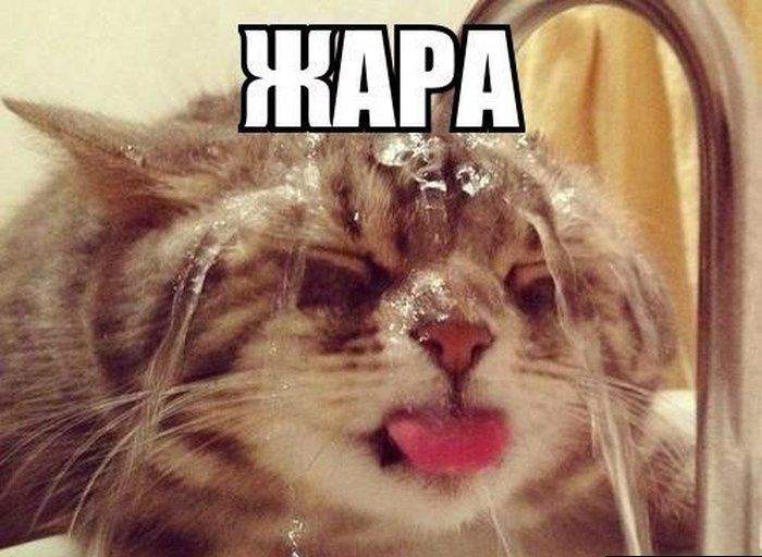 В пьянке замечен не был, н по утрам пил холодную воду!!!