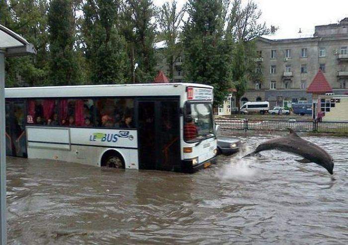 А то мы все и поверили.