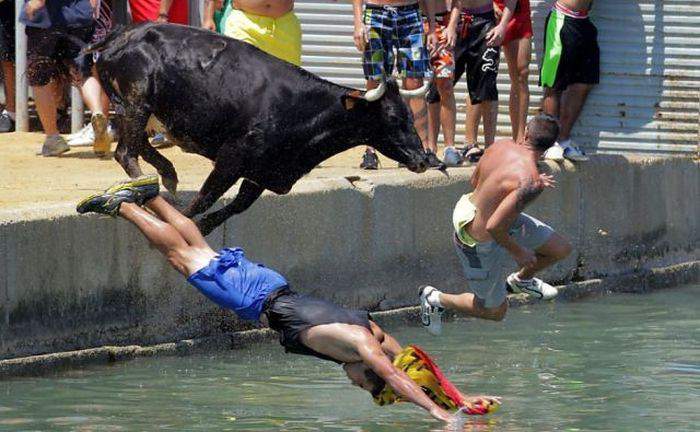 Эй, мля! Я не Герасим!! А я и не Му-Му!!!!