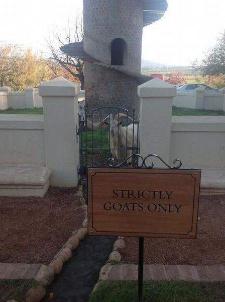 беее впустиите