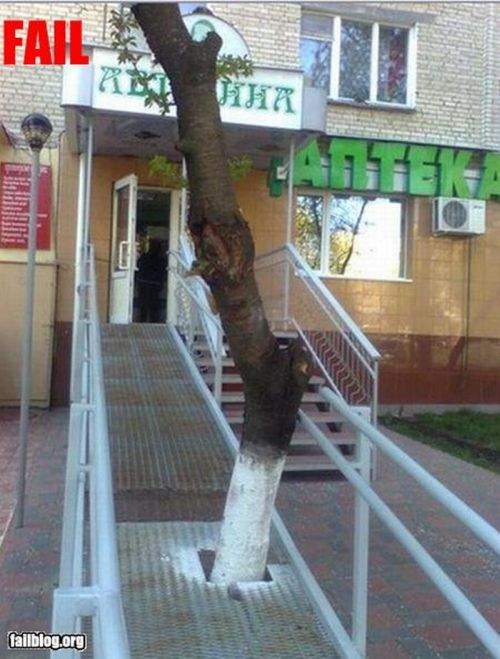 вот поэтому у нас столько медалей на параолимпиаде