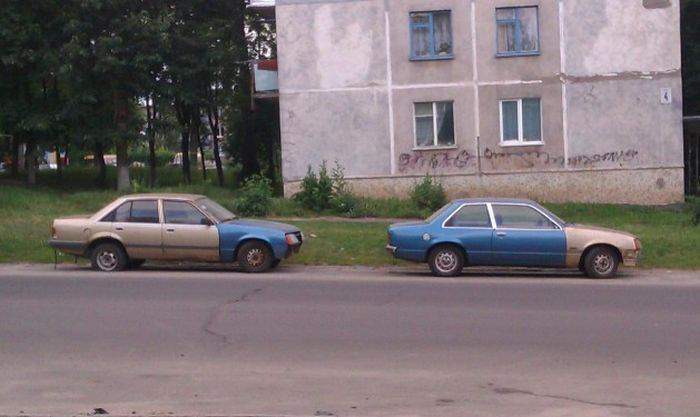 Омонимы!