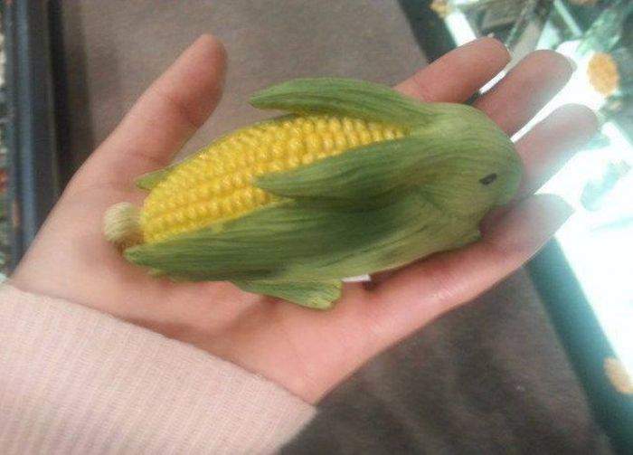 У Ивана Кузина с глазами кукурузина!