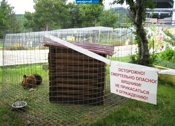 и эта... спиной не поворачиваться!