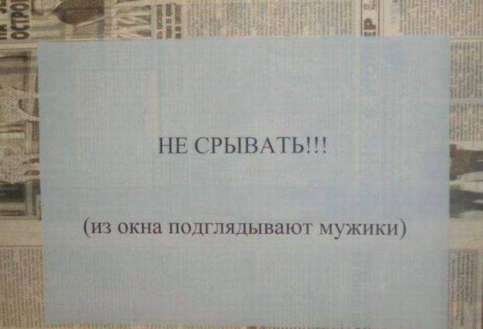Да ладно! Они просто газету читают, а вы уже и размечтались!
