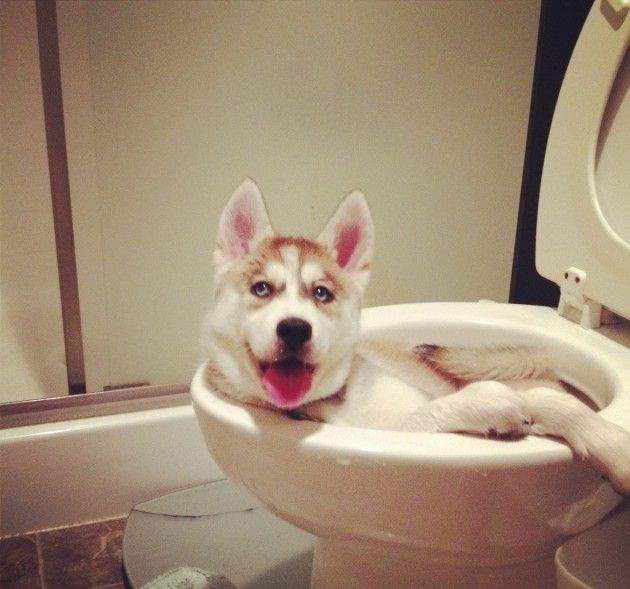 Занято, йопта!:)