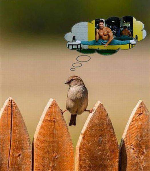 я мачо!