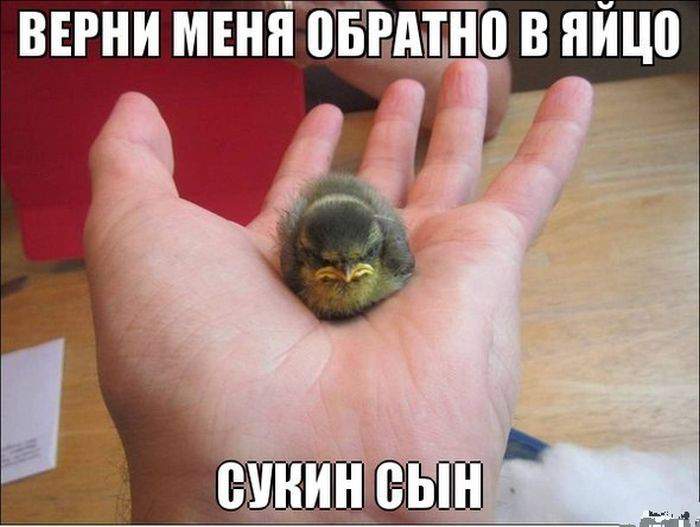 Не с той ноги вылупился).