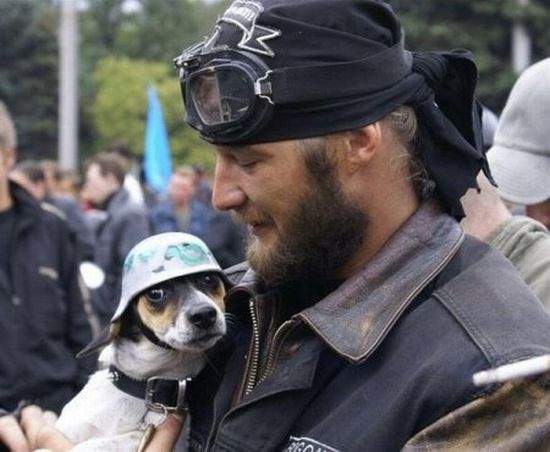 Он мне на будущий год Харлей обещал!!!!!