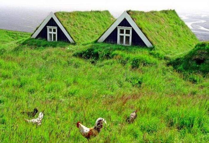 Так и запишем в декларацию: недвижимости нет
