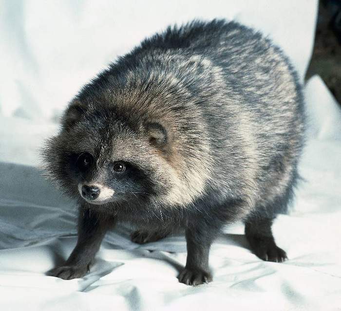 Я пришёл
