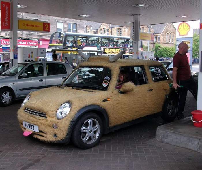 Корову свою не продам никому - такая скотина нужна самому!