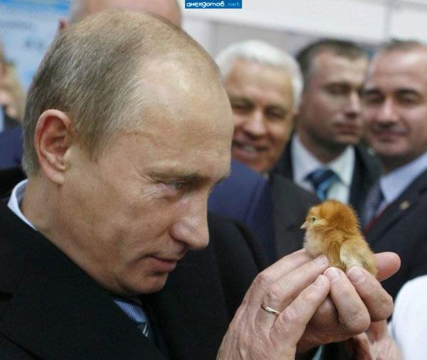 надо платить малыш. мне все платят.