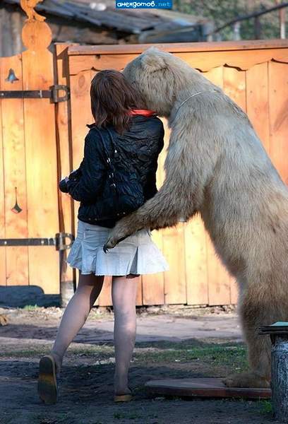 Не бери меня за здесь, я вся такая