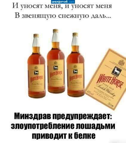 Злоупотребление лошадьми приводит к ДТП!