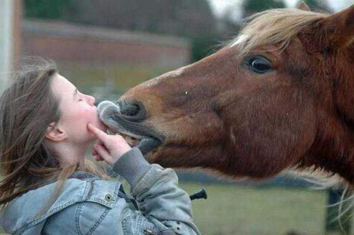 Бархатный поцелуй....))))