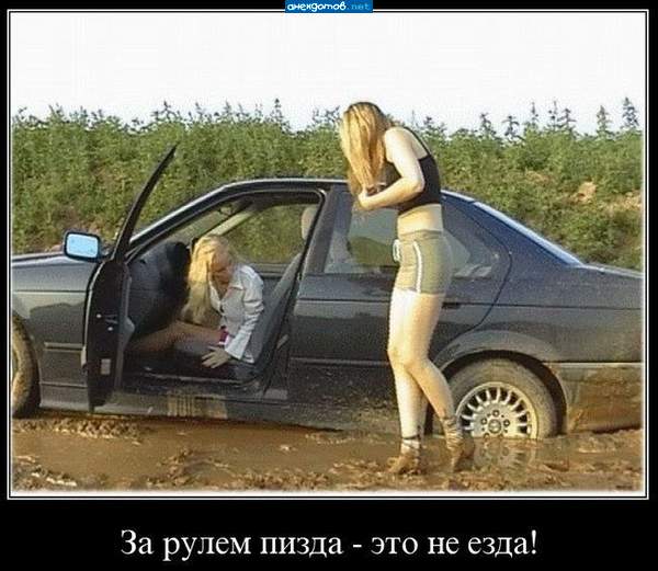 Чем позже вылезут, тем спокойнее на дорогах!