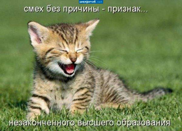 Хороша трава!!