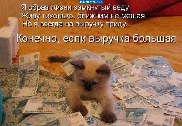 На Вискас хватит!