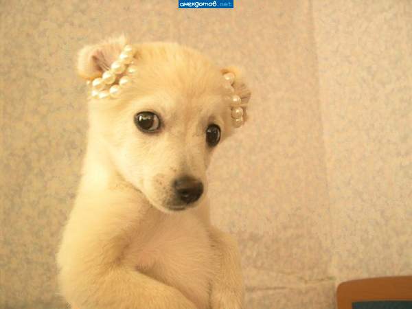 Бузова -))))