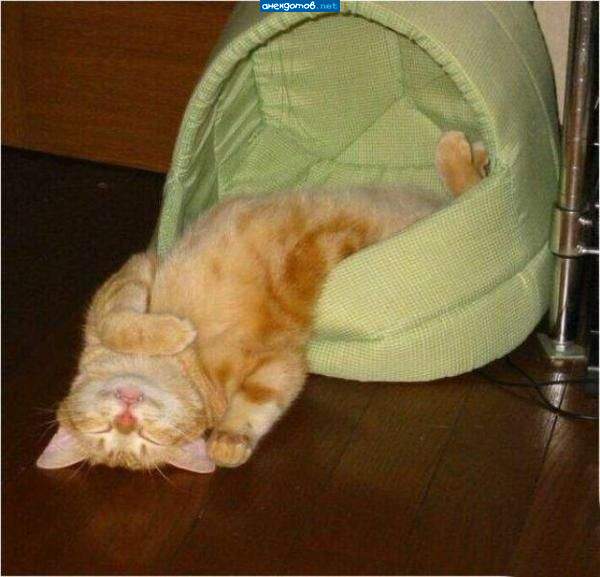 выпадение из реальности