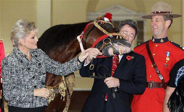 Я не можу....мабудь лягу...рассмешили вы конягу....