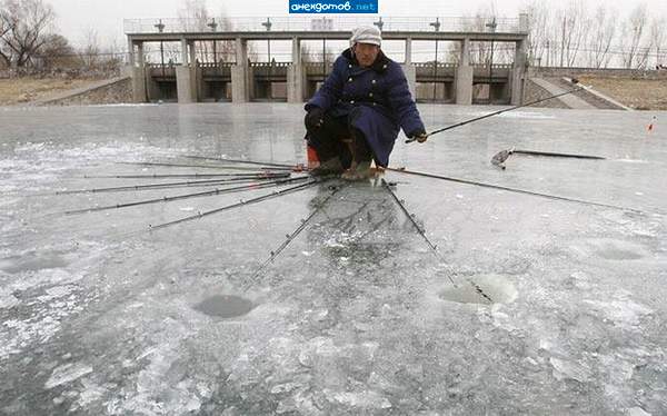 все по фэншую