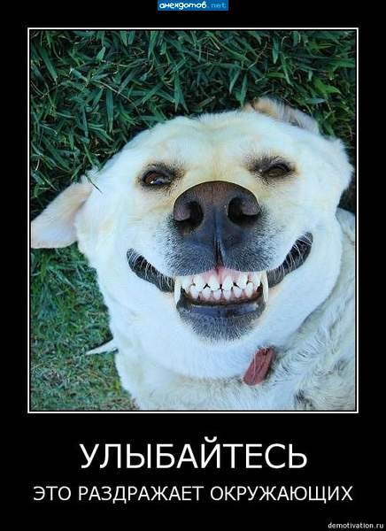 целоваться будем?