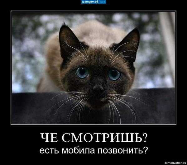 с какого района будешь?