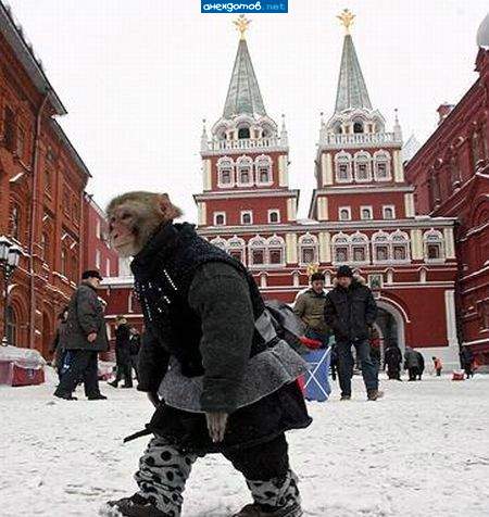 теперь и я коренной москвич