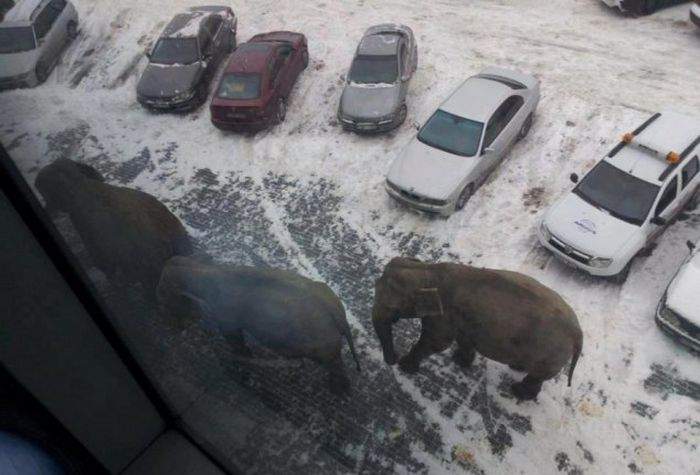 Здесь все занято, пошли в соседний двор парковаться.