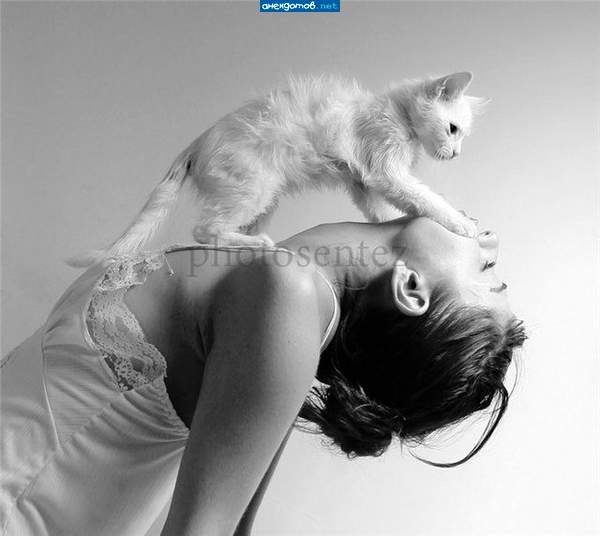 Котик у меня - отпад!