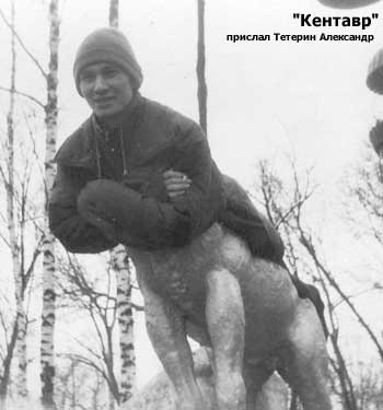 А говорили, у нас кентавры не водятся