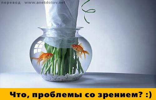 проблемы, но не со зрением