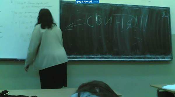 Тётя как тётя! А те, кто это пишут, действительно свиньи!