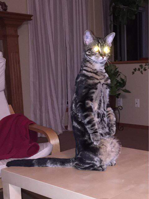 мы пришли с миром