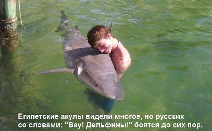 Спасибо тебе, рыбонька, за тещу!