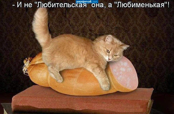 Защита докторской
