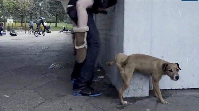 Живой уголок, однако...