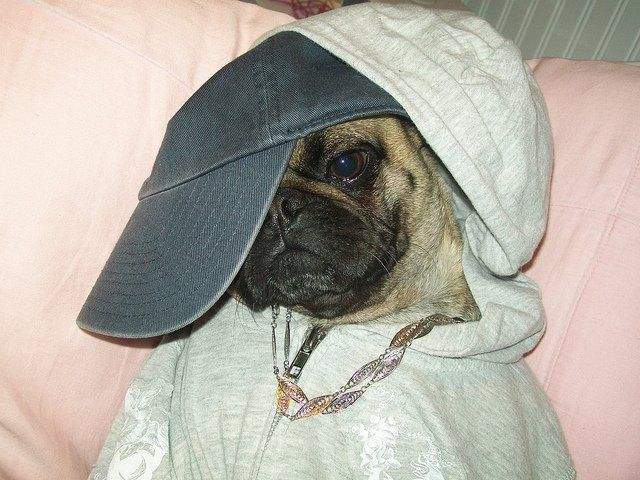 Тимати. Начало.