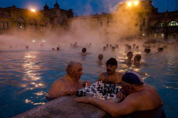 лошадью ходи, ато и без трусов останемся...