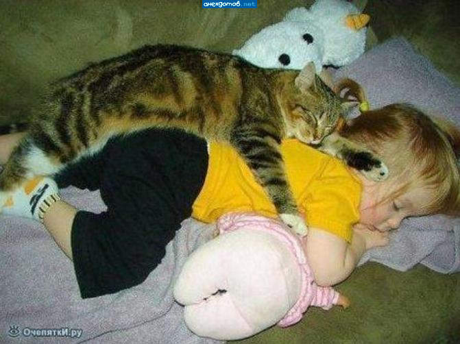 Это мягче,чем подушка....и пахнет молочком.....МММуррррр ))))))))