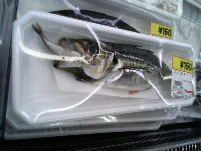 Это – наша жизнь...