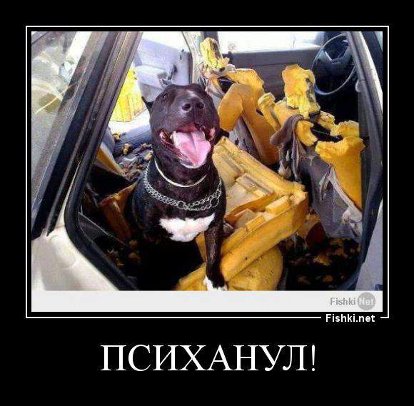 противоугонка, ложное срабатывание