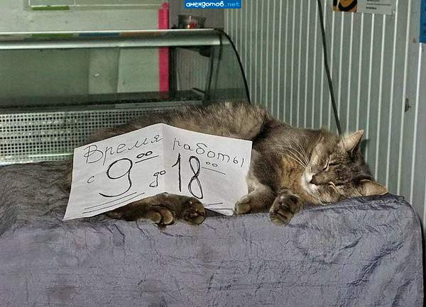 суббота, воскресенье - выходной